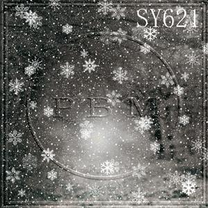 10'x10' SY621